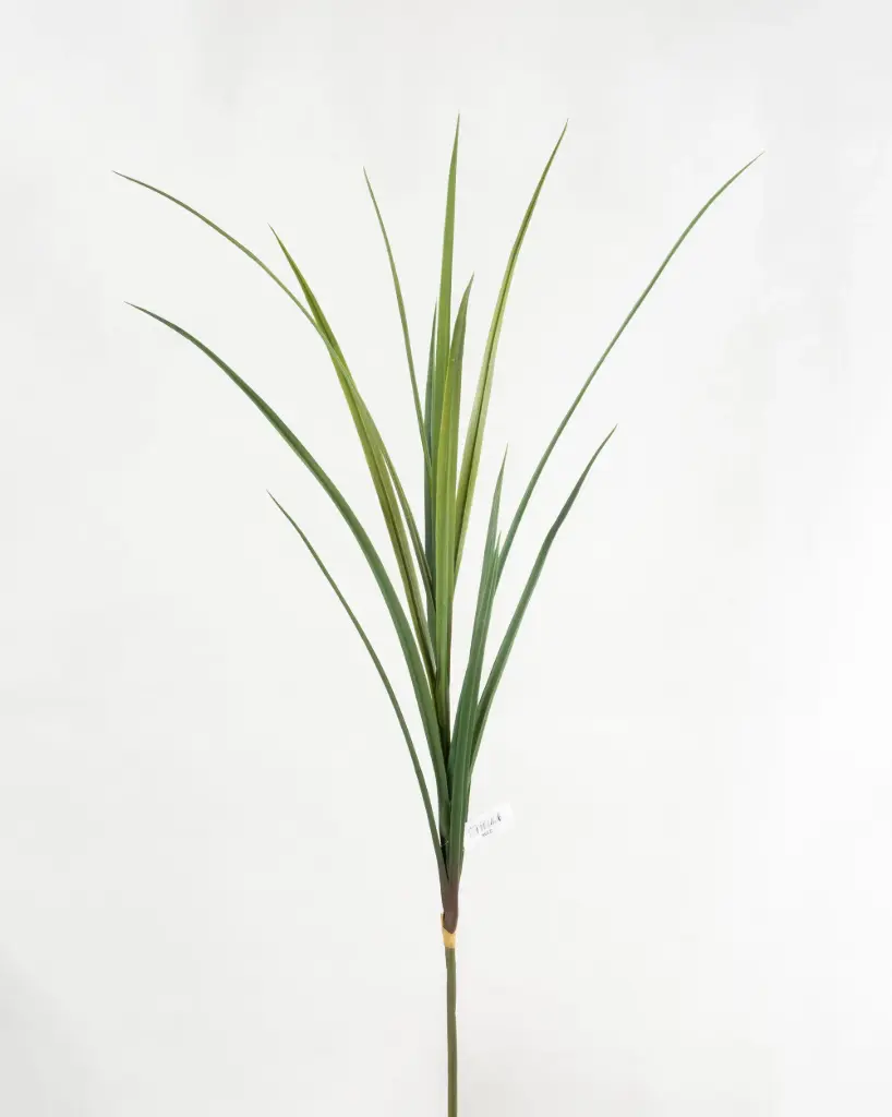 Miscanthus Spray 