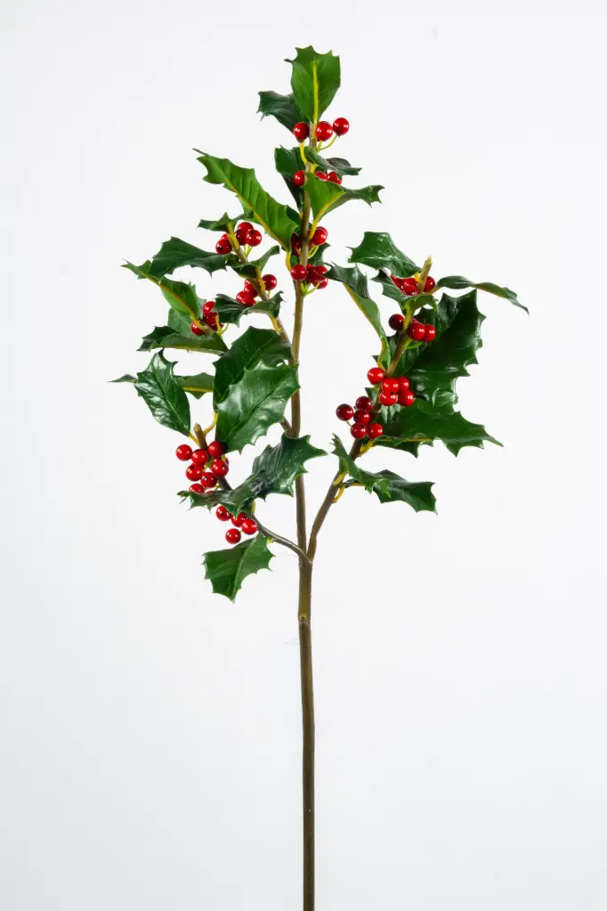 Holly Spray
