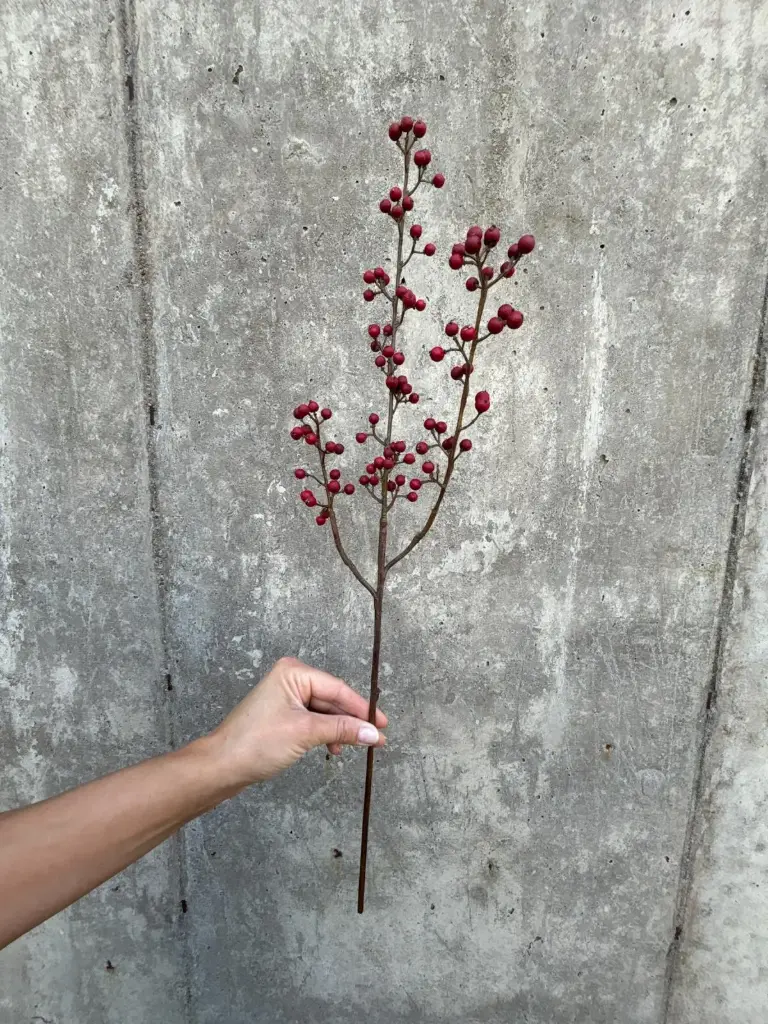 Ilex Branch