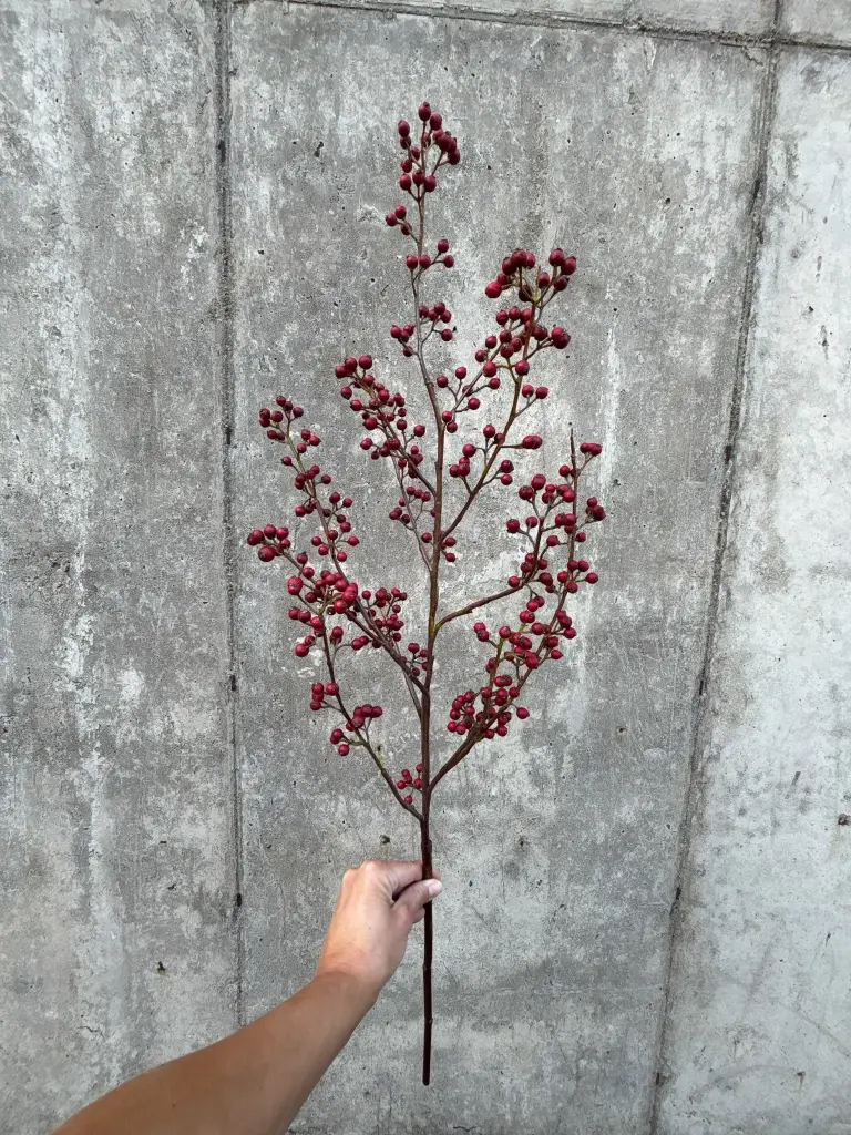 Ilex Branch