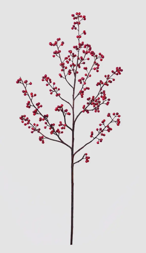 Ilex Branch