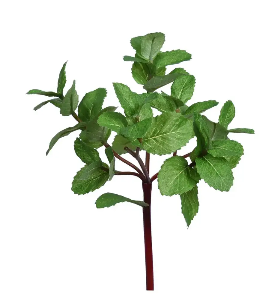 Mint