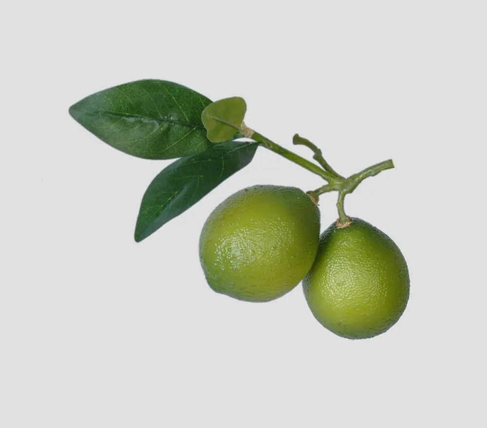 Lime Pick x2