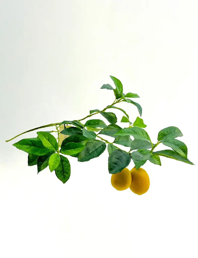 Lemon Branch, New item – delayed