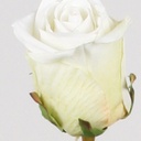 [6742] Rose spray (Alternative 5)