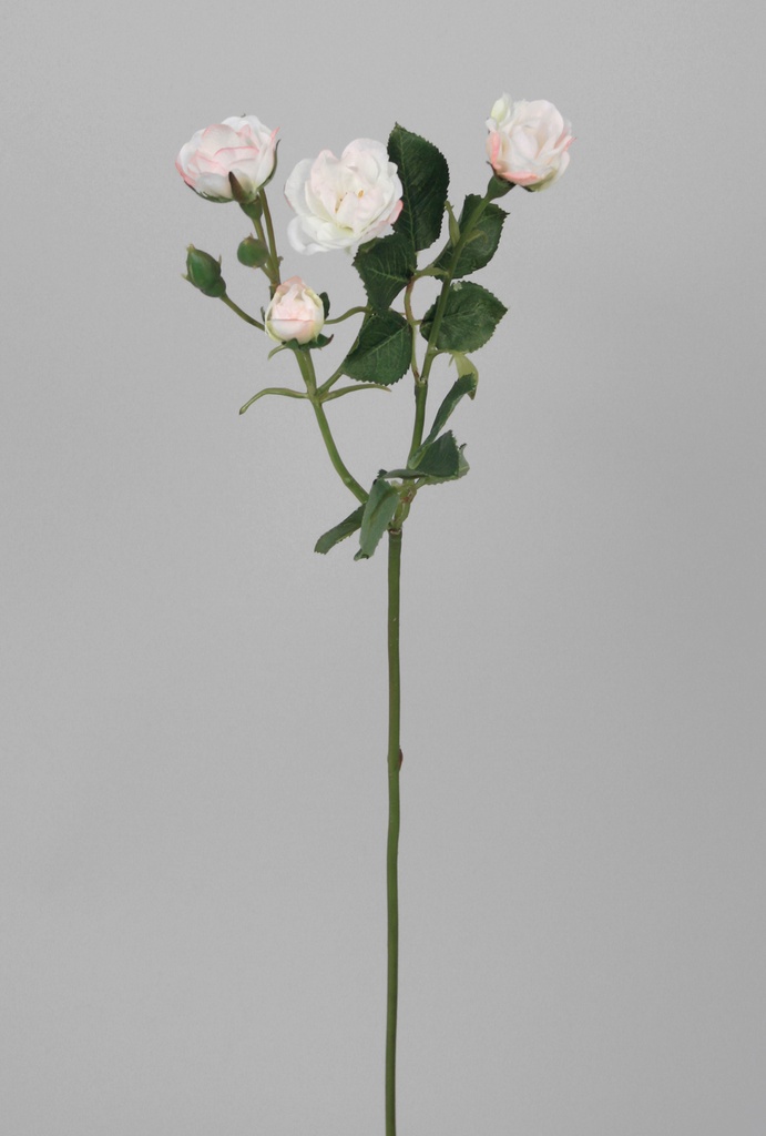 Rose spray