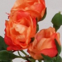 [6813] Rose spray (Alternative 3)