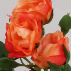 [6813] Rose spray (Alternative 3)