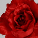 [4902] Rose (Alternative 2)