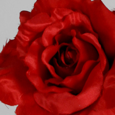 [4902] Rose (Alternative 2)