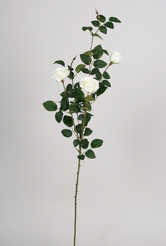 Rose spray