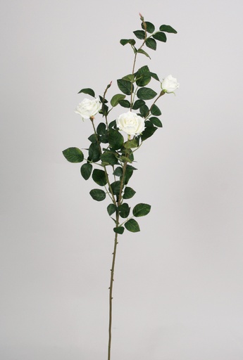 Rose spray