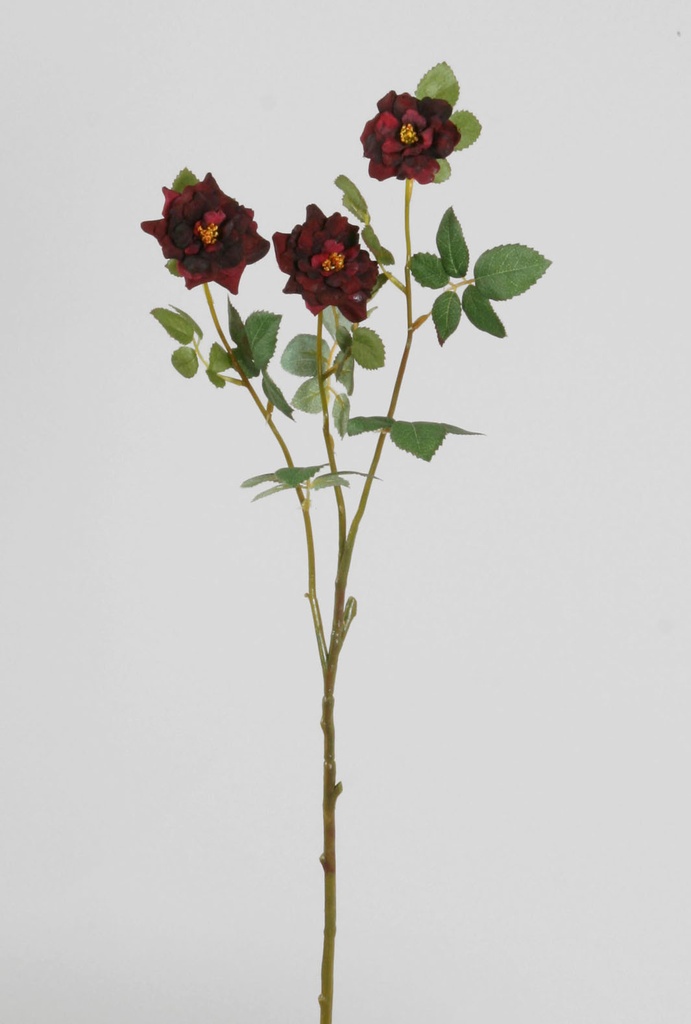 Rose mini