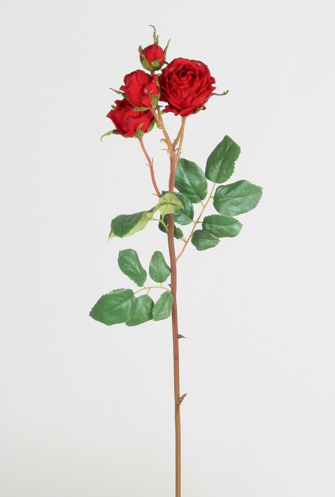 Rose pick