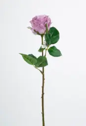 [7130] Rose (Alternative 3)