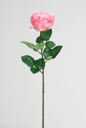 [7122] rose (Alternative 1)