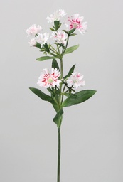 [6370] Dianthus spray (Alternative 1)