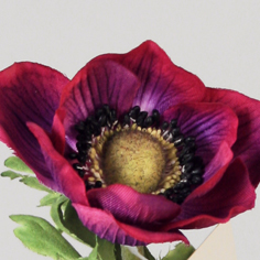 [6821-2] Anemone (Alternative 5)