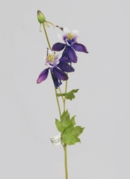 [6687] columbine (Alternative 2)