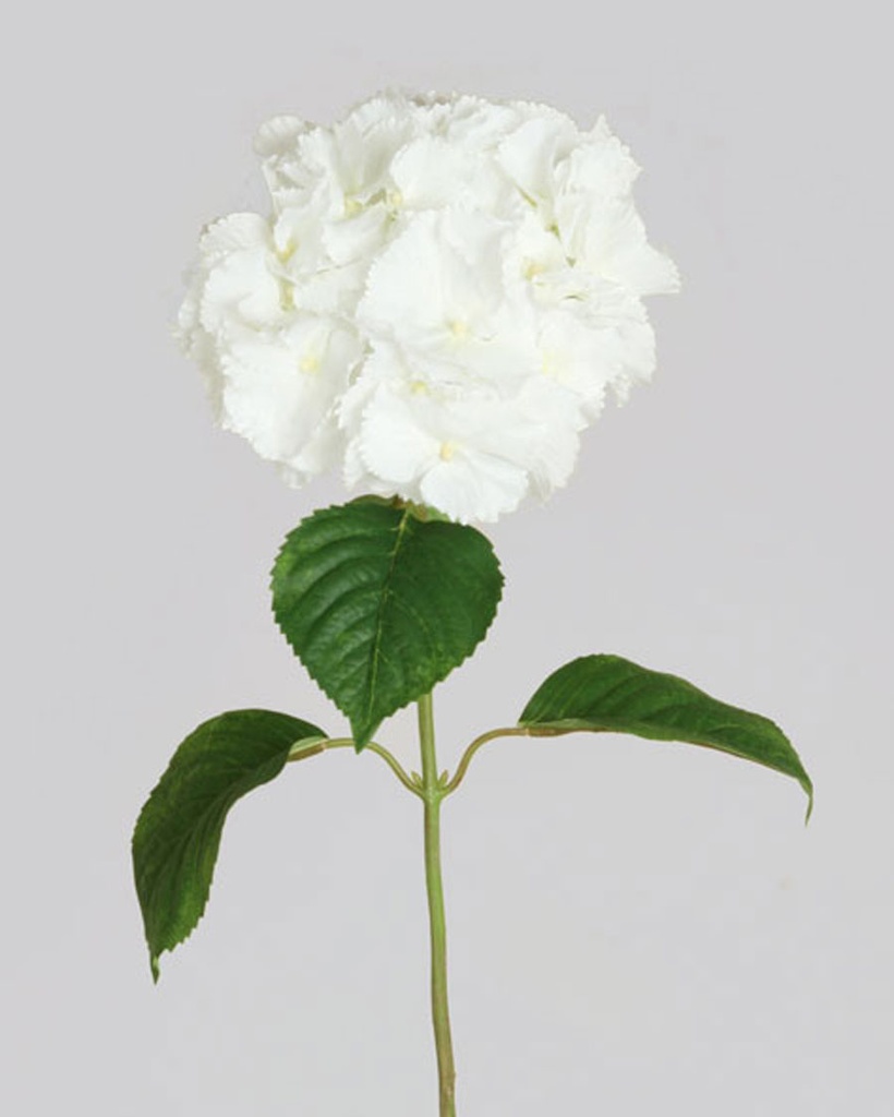 hydrangea spray