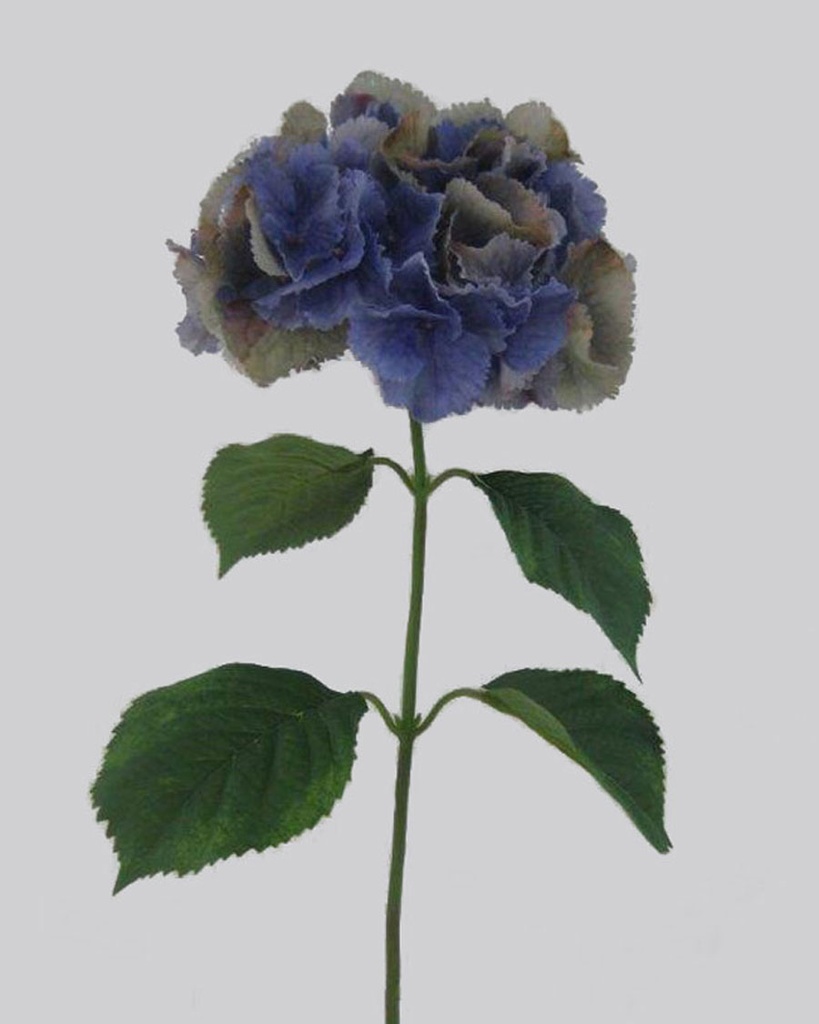 hydrangea spray