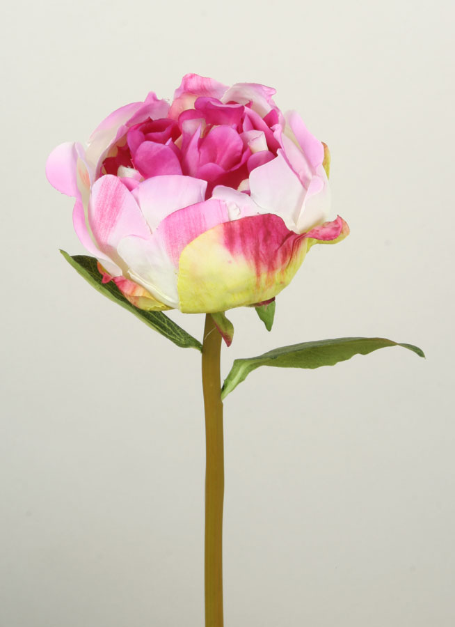 Peony spray