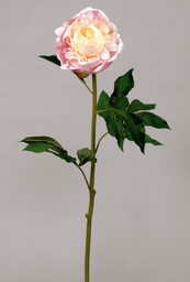 [9451] Peony (Alternative 1)