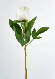 [9129-2] Peony spray (Alternative 2)