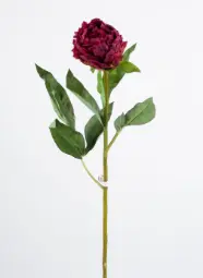 [9129-3] Peony spray (Alternative 3)