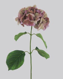 [7194] hydrangea spray (Alternative 3)