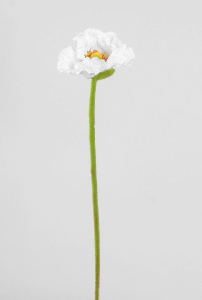 Poppy spray