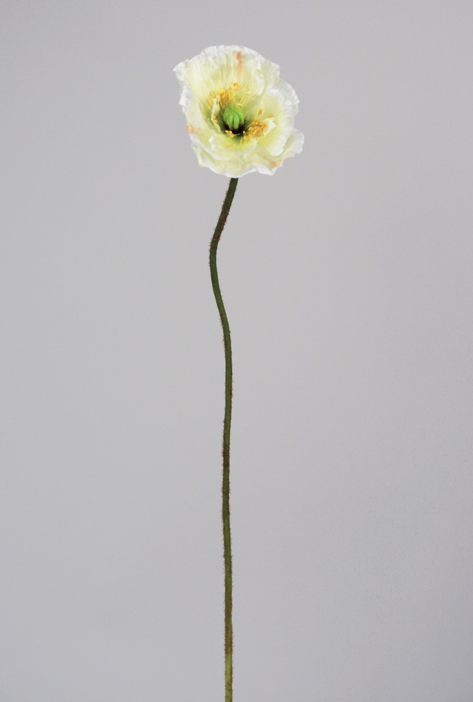 poppy spray