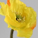 [6506] poppy spray (Alternative 3)