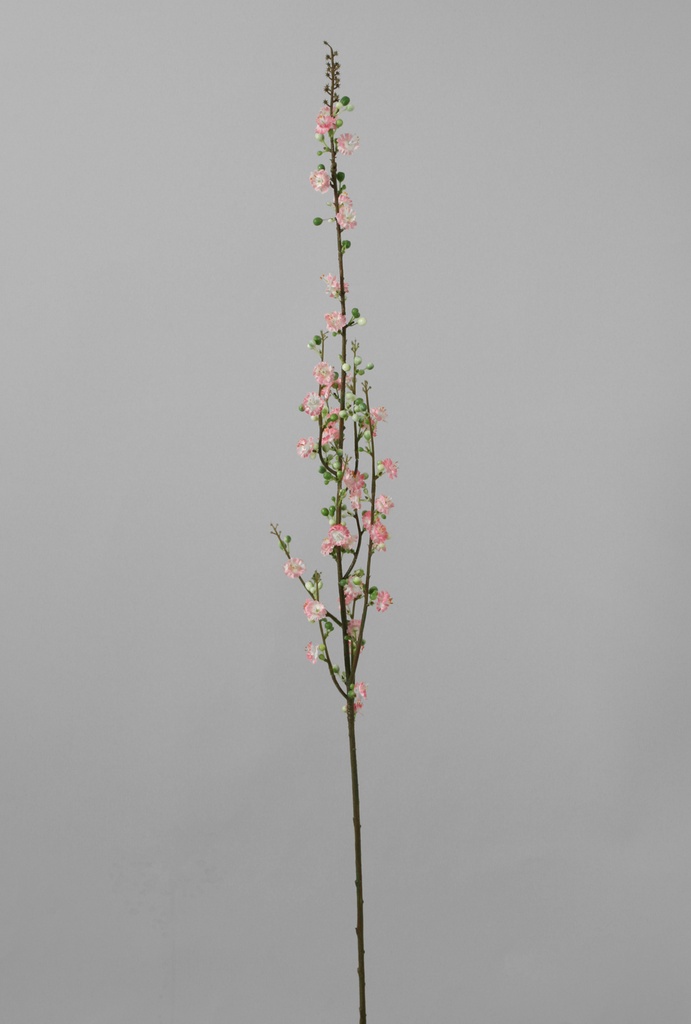 Prunus spray