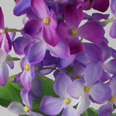Lilac spray