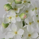 [6350] Lilac spray (Alternative 3)