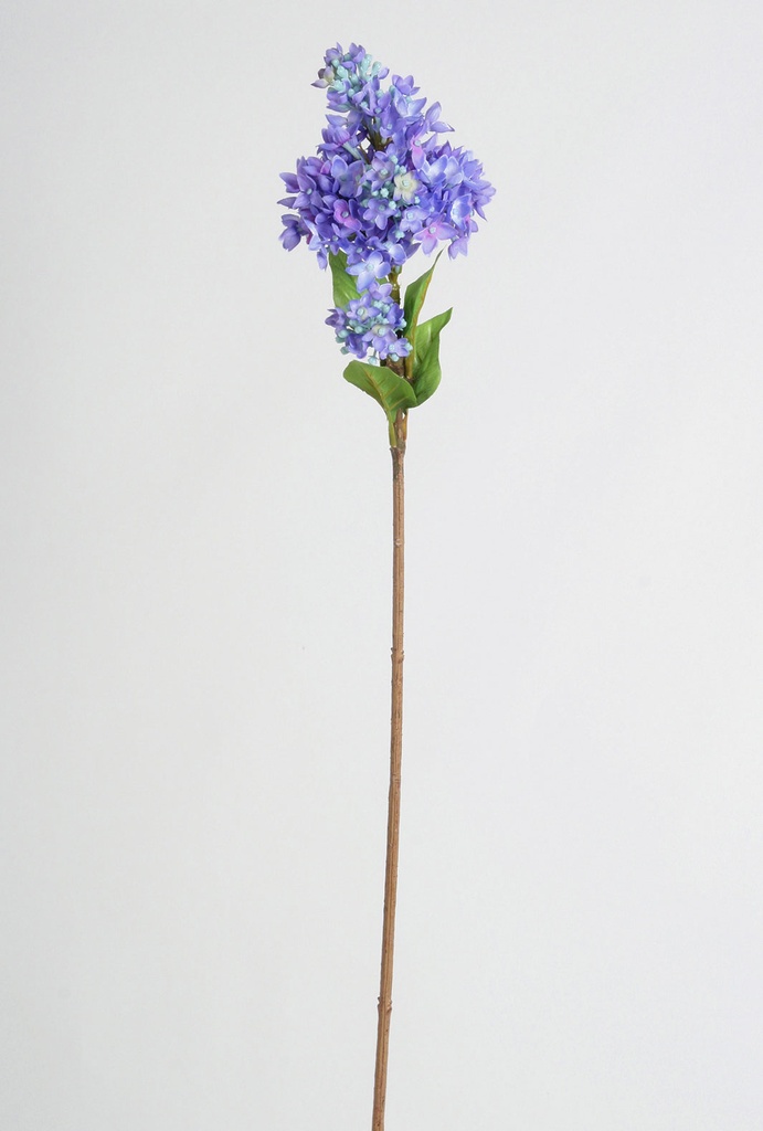 Lilac spray