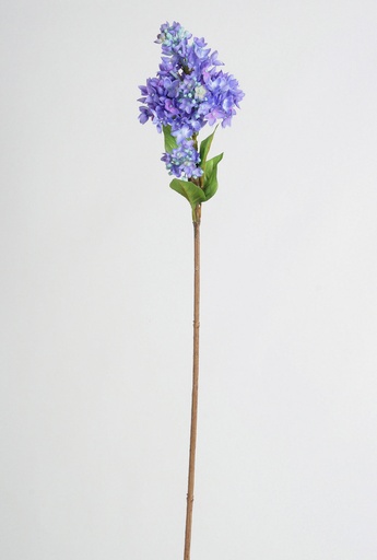 Lilac spray