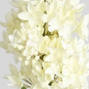 [7147] Lilac spray (Alternative 2)