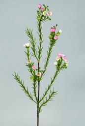 [9357-1] Wax flower (Alternative 2)