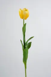 [6608-1] Tulip (Alternative 4)