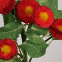 [7095-3] Bellis (Alternative 3)