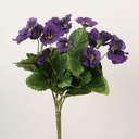 [211a-14] Pansy (Alternative 3)