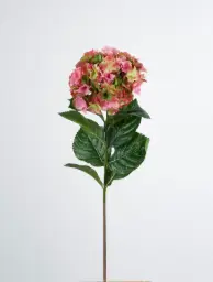 [9582-54] Hydrangea (Alternative 4)