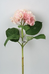 [9972-1] Hydrangea (Alternative 5)