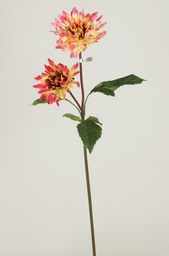 [9595] Dahlia (Alternative 1)