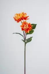 [9596] Dahlia (Alternative 2)