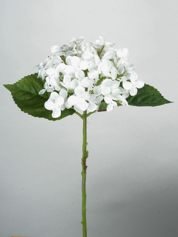 hydrangea spray