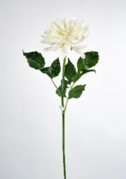 [9698] Decorative Dahlia (Alternative 4)