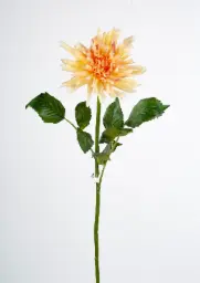[6743] Decorative Dahlia (Alternative 5)